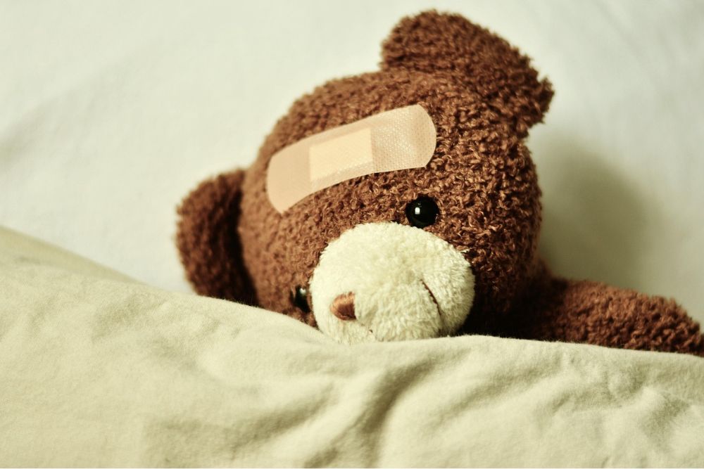 Toutous et routines du soir : un duo pour un coucher apaisé