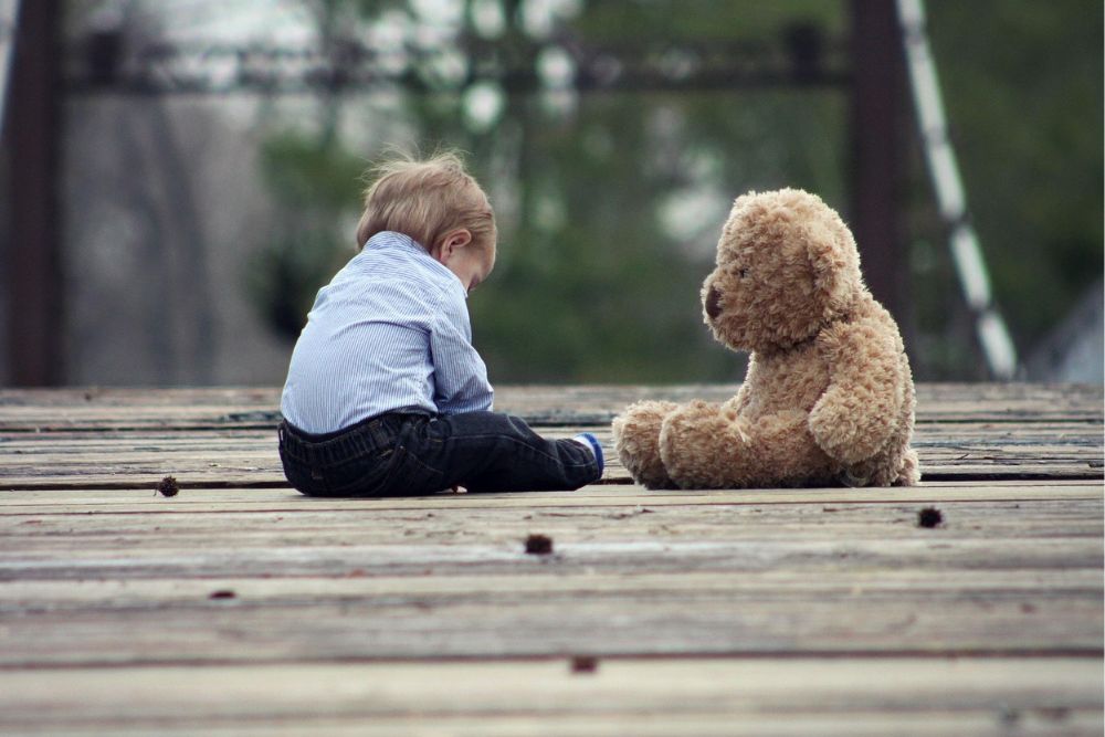 Les Toutous dans l’éducation : apprendre à travers le jeu