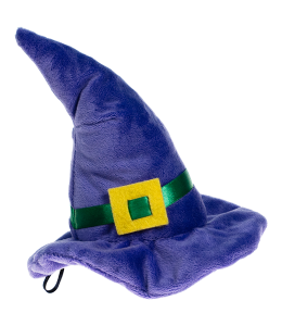 chapeaux sorcière