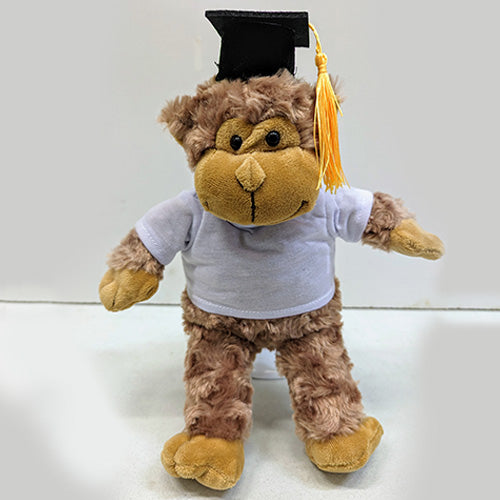 Chapeau Graduation 20 cm