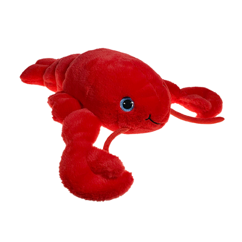HOMARD 40CM