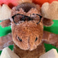 LUNETTES
